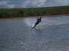 dscf2133_small.jpg